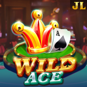 Wild Ace slot on 48jl